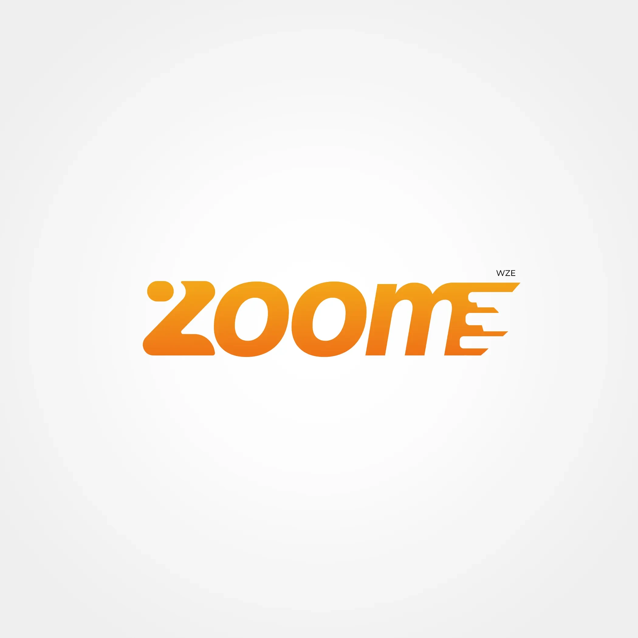 Zoom: Proprietary Express Delivery Service